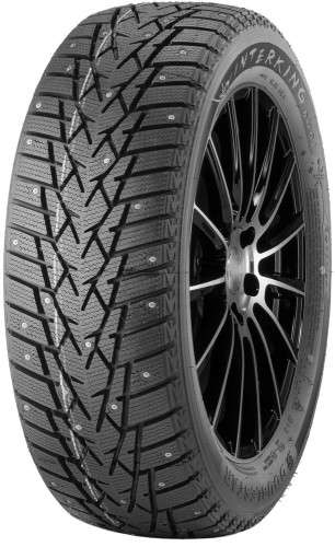 DOUBLESTAR DW01 WinterKing