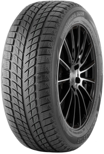 DOUBLESTAR DW09 WinterKing