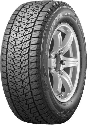 BRIDGESTONE Blizzak DM-V2